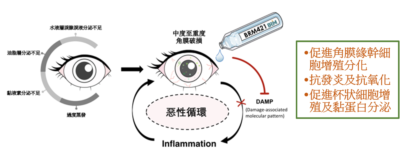 Innovative PEDF-derived Short Peptide (PDSP) Technology Platform